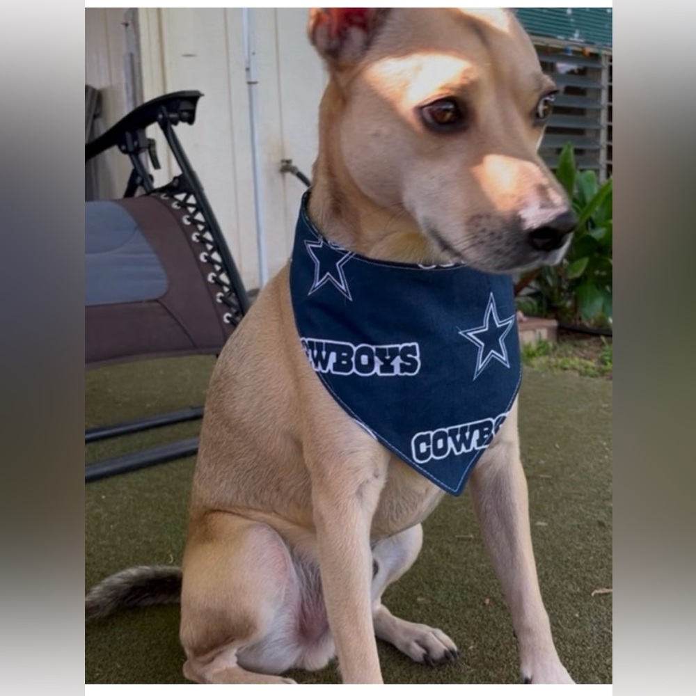 Los Angeles Chargers Dog Bandana-Size M - Picture 6 of 6